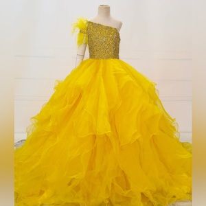 Brand NEW DFG Girls Custom Gown. Silk organza/Glass Stones